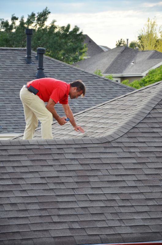 Roof Inspection and Maintenance Services